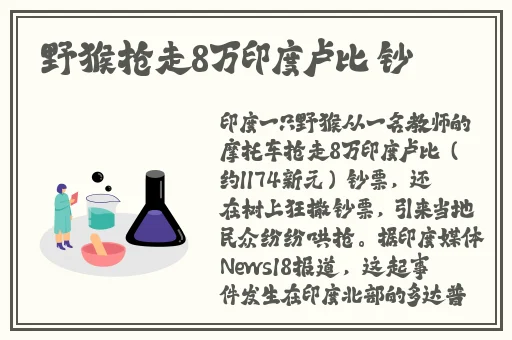黑料网在线免费观看视频